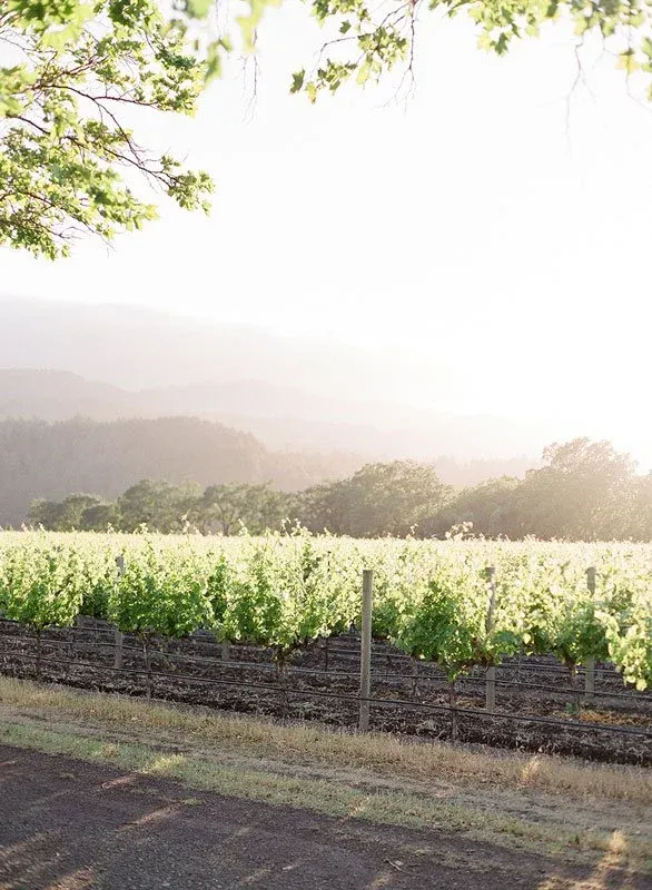 Beaulieu Garden Wedding Venue Tour - A Hidden Gem in Napa Valley